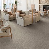 Philadelphia Commercial Carpet Tile
Mottled